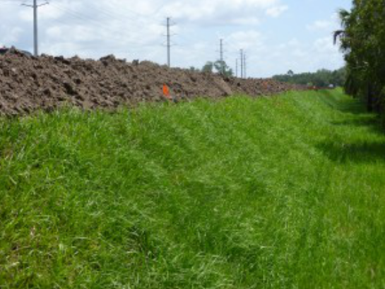 四川巴中多雨潮湿，土工格栅为道路扩建出力  第2张